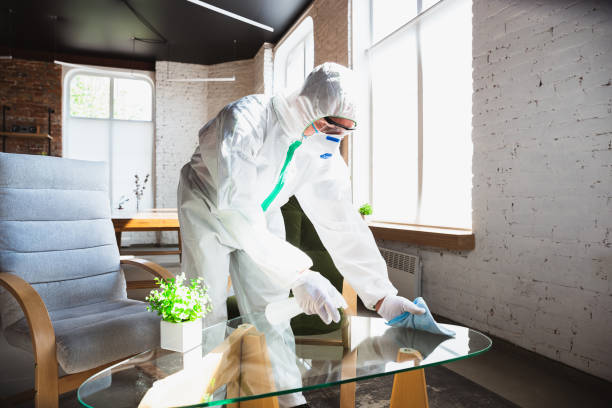 Best Forensic Mold Investigation in USA